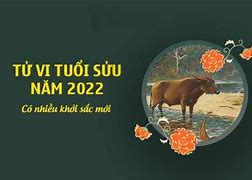 Ất Sửu Nữ 2023