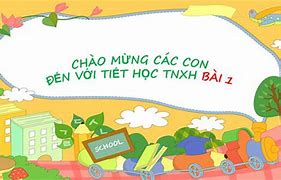 Ban Tự Nhiên Và Ban Xã Hội Tiếng Anh La Gì