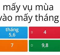 Câu Hỏi Về Lúa