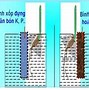 Ứng Động Không Sinh Trưởng Ở Thực Vật