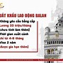 Xkld Nhật Esuhai Hà Nội Review Công Việc Mới Ra Trường Chưa Có